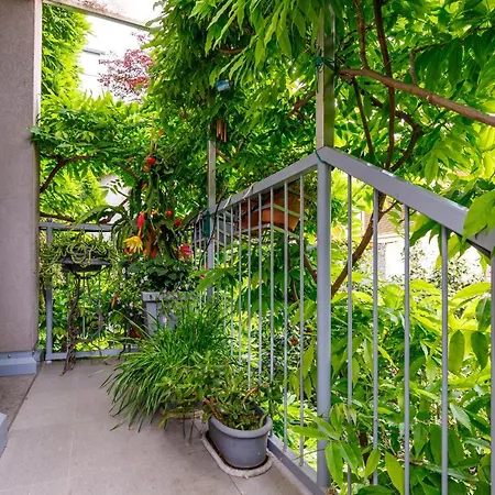 Il Balcone Delle Camelie - Happy Germignaga
